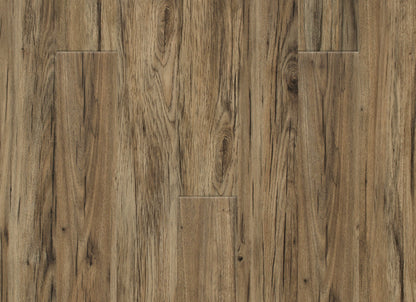 PureGrain Endure - New Standard II in Bounty