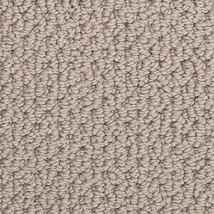 Radiant Fit in Mountain Ledge Carpet