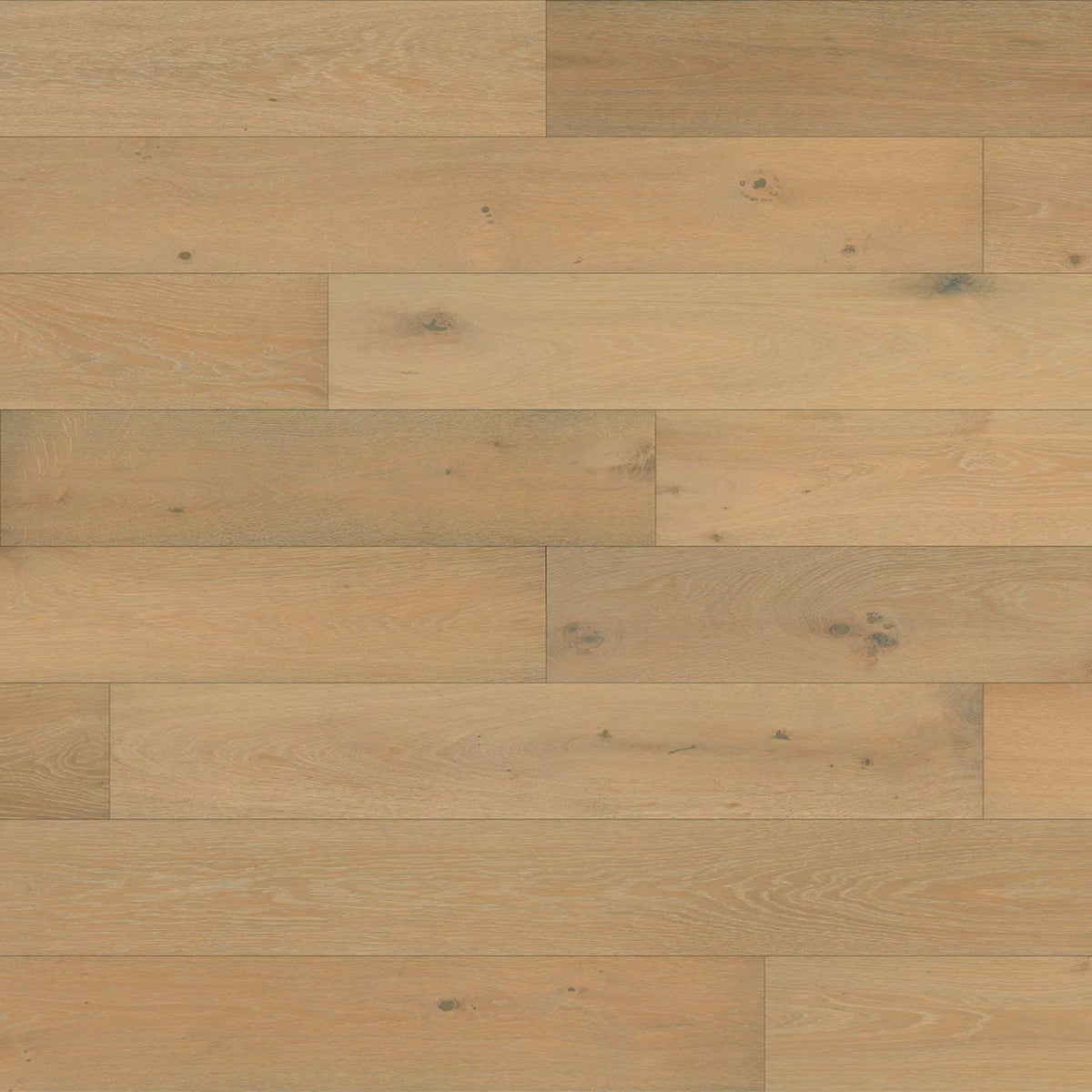 Renaissance in Capri Hardwood
