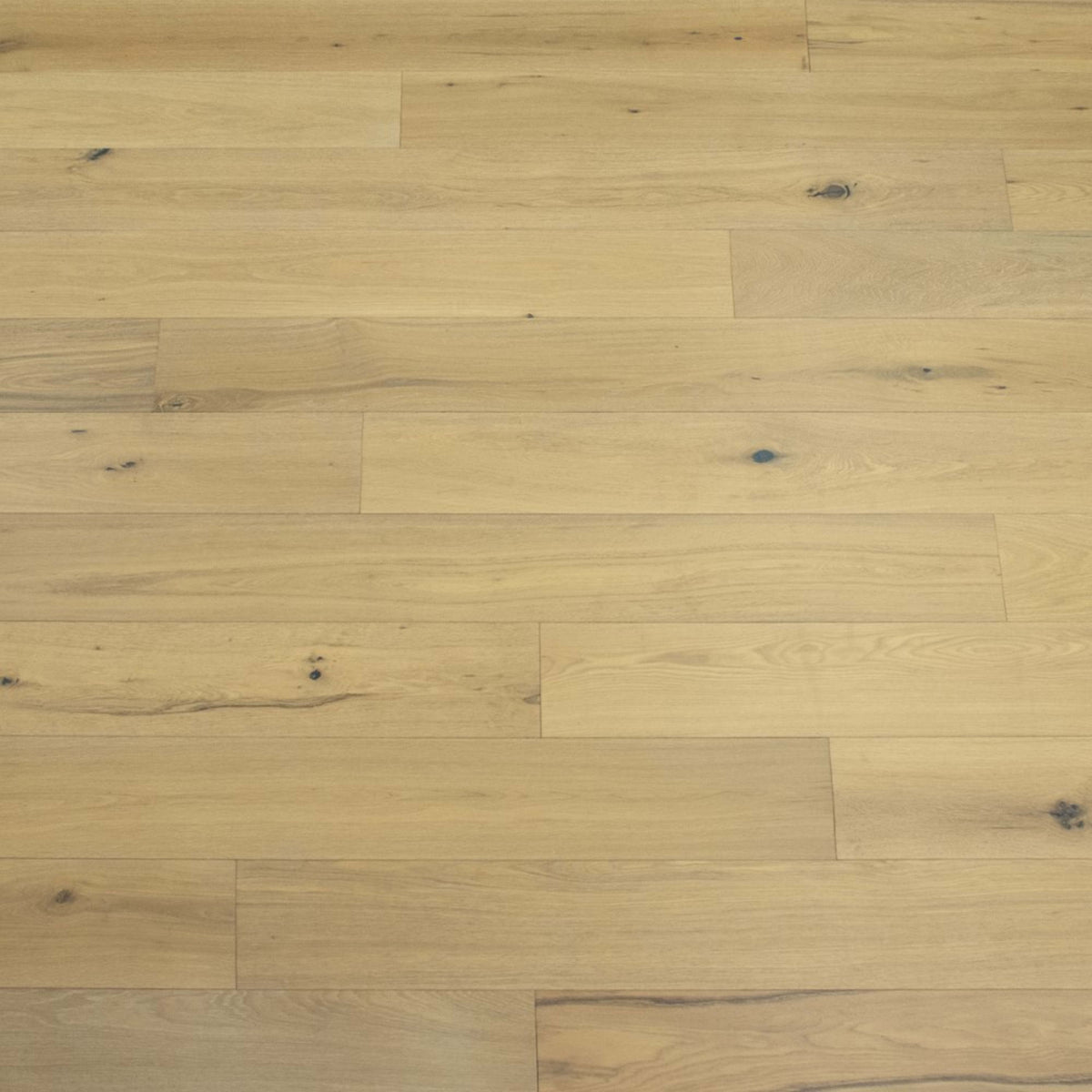 Renaissance in Ferrara Hardwood