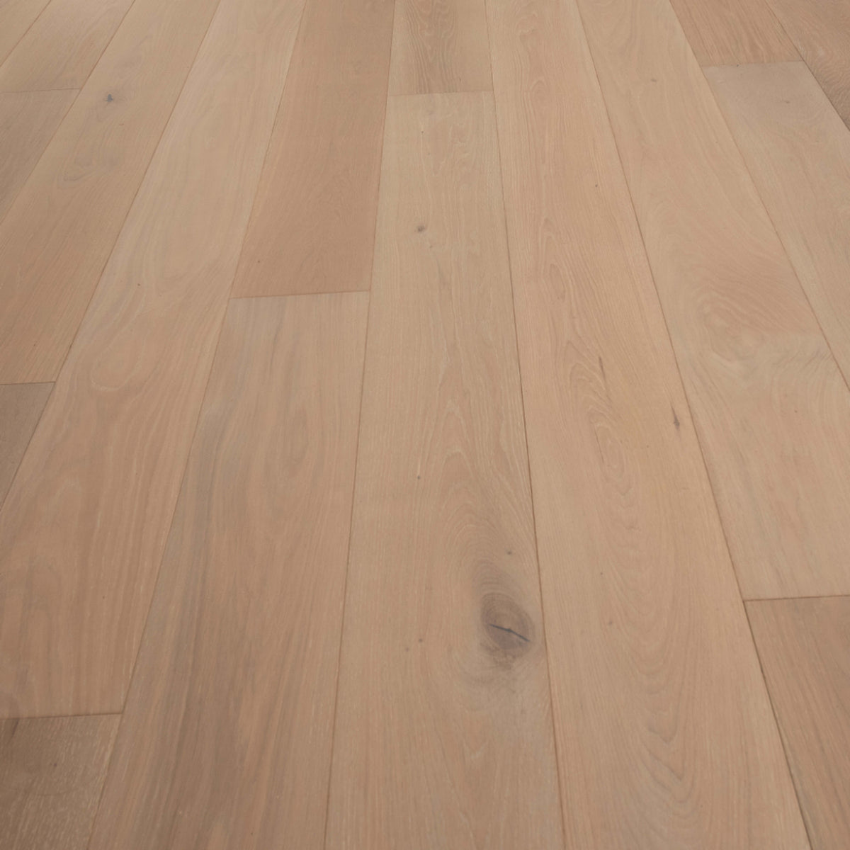 Renaissance in Jenne Hardwood