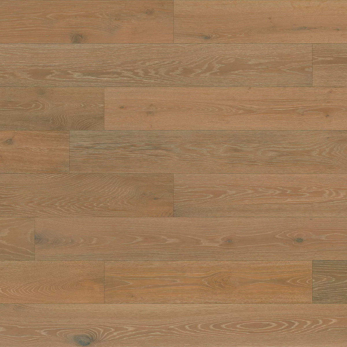 Renaissance in Sorrento Hardwood