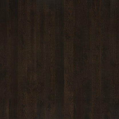Regatta Collection in Harbor Oak Hardwood