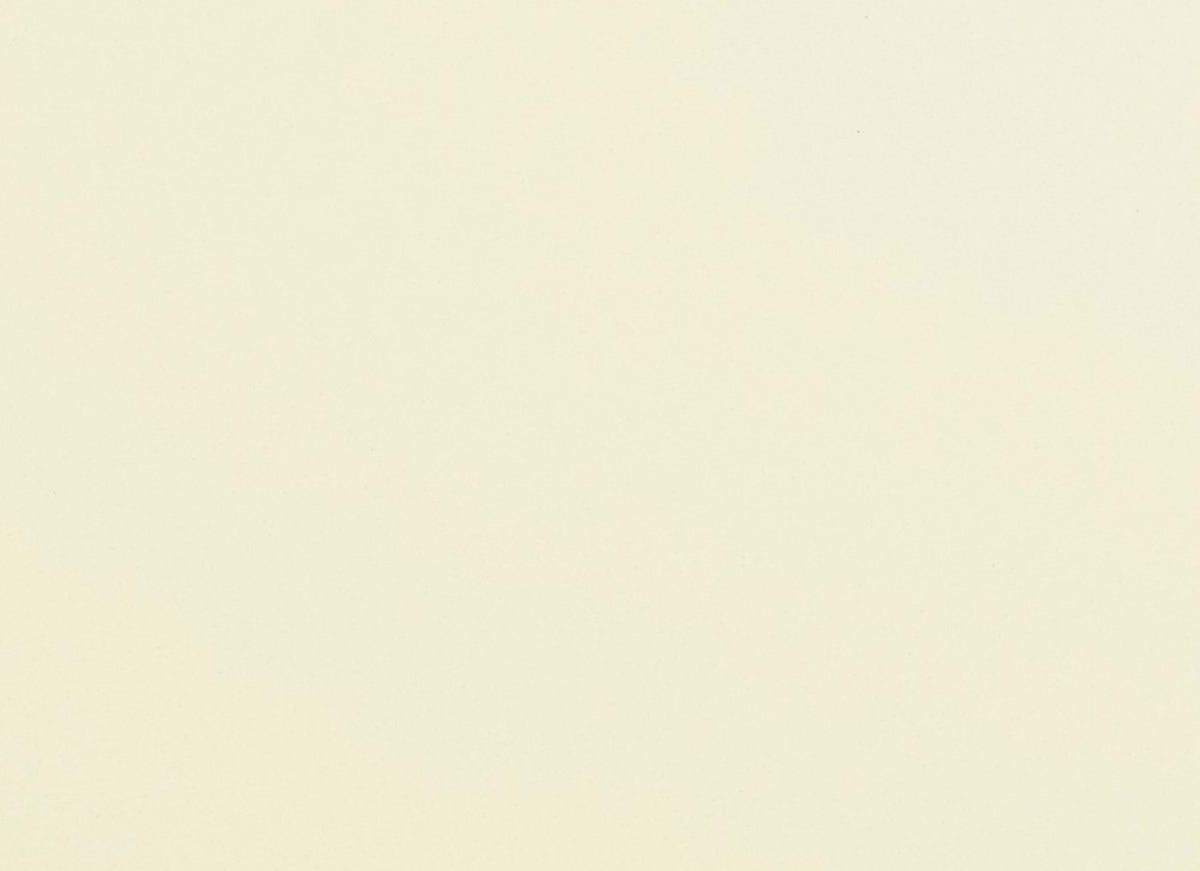 Retroactive 2.0 in Empress White 6"x12" Polished