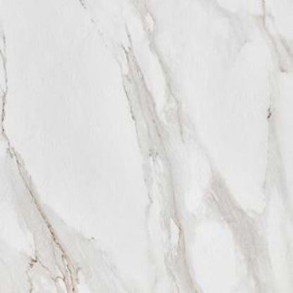 Rio in Calacatta Tile
