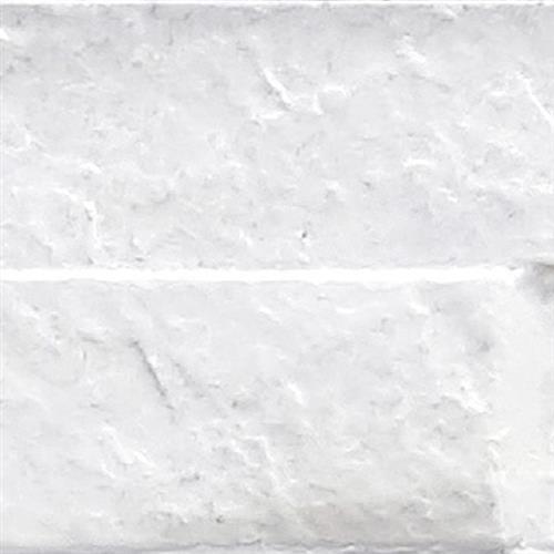 Rock in White Tile