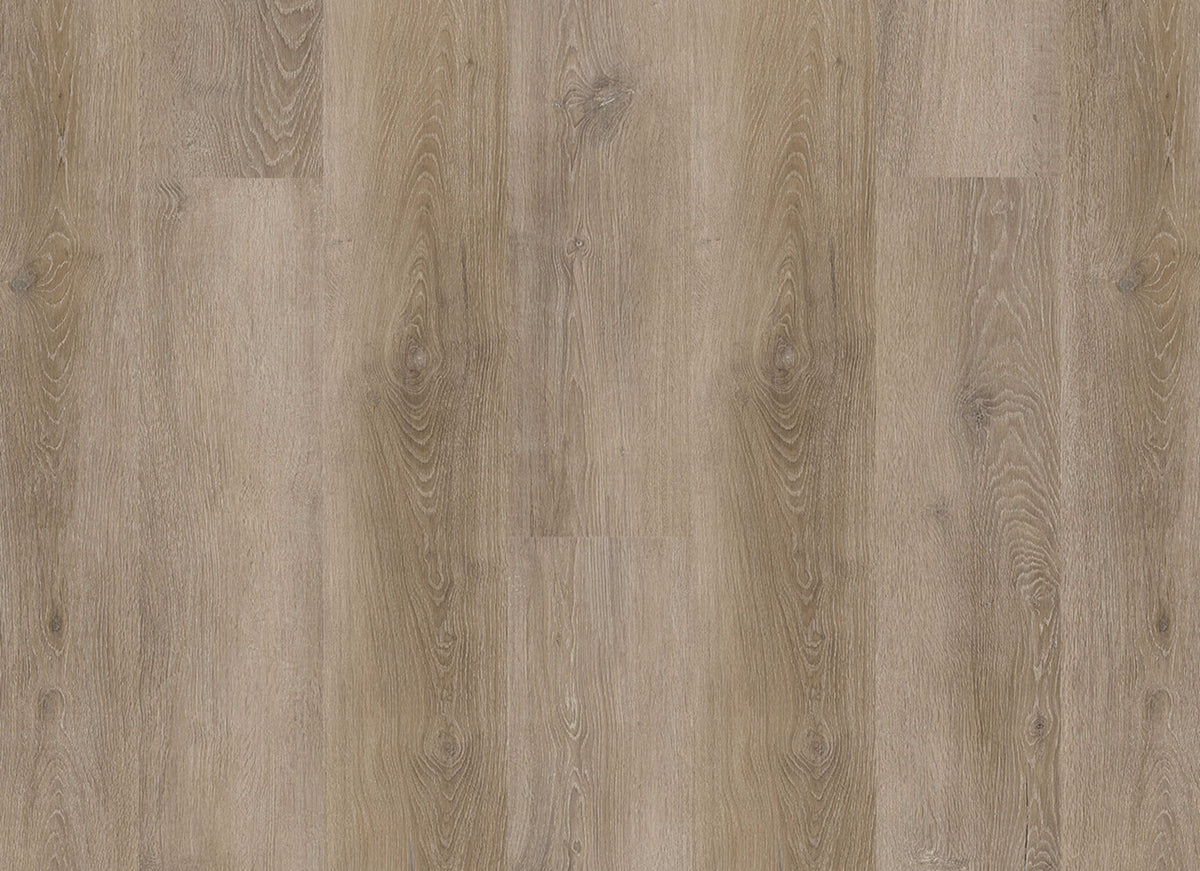 PureGrain Endure - New Standard Plus in Druidstone