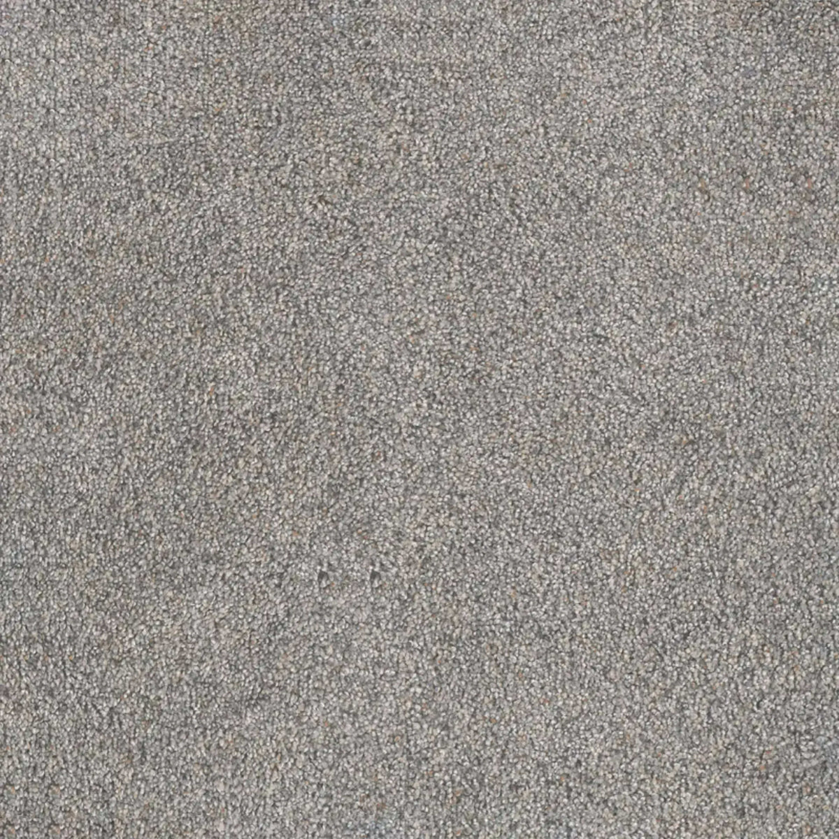 Rustic Retreat II in Wedgewood Carpet