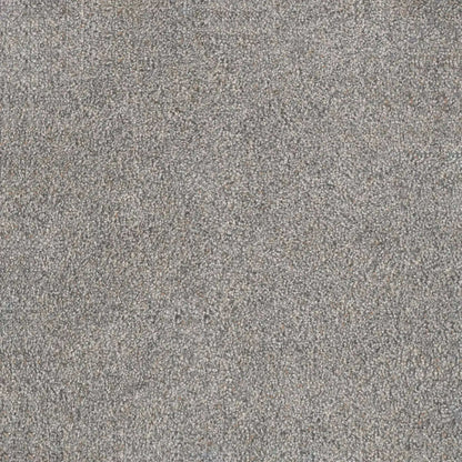 Rustic Retreat II in Wedgewood Carpet