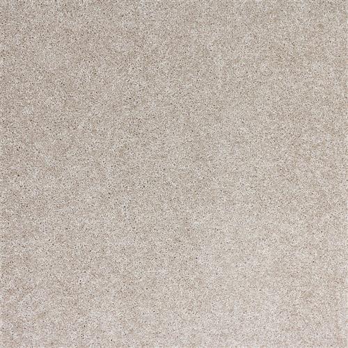 Radiant Beauty in Lustrous Carpet
