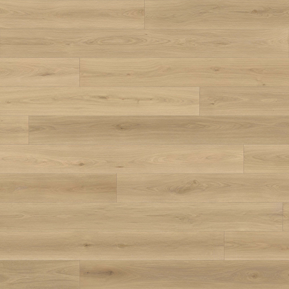 Renaissance in Ravenna Hardwood