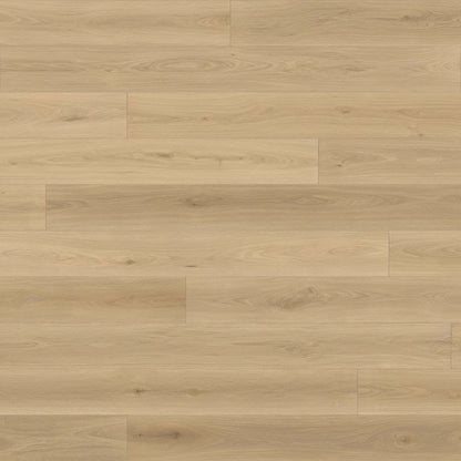 Renaissance in Ravenna Hardwood