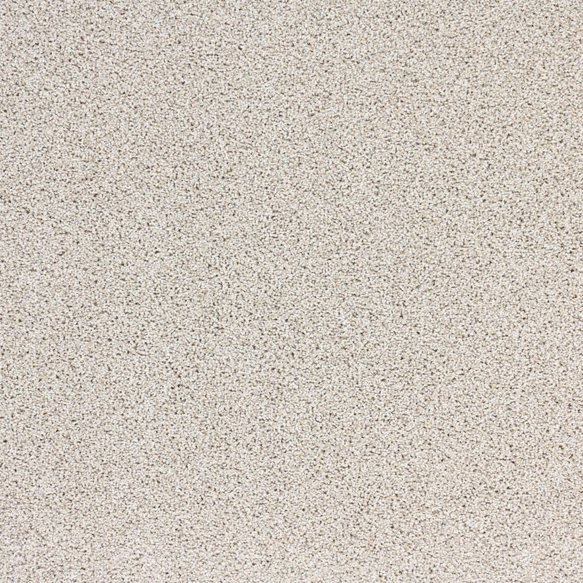 Real Appeal in Sand Castle Carpet
