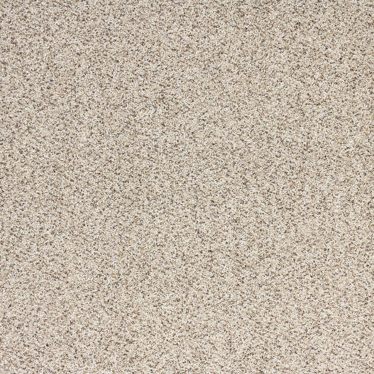 Reflections in Intrigue Carpet