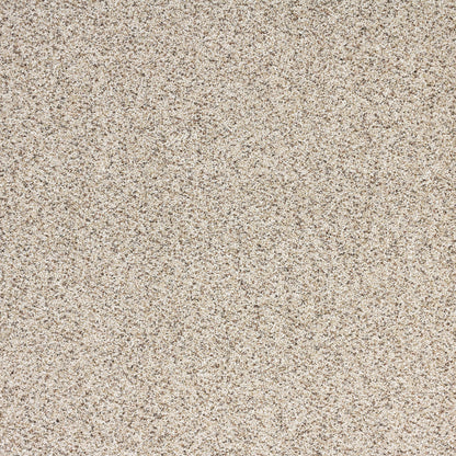 Reflections in Intrigue Carpet