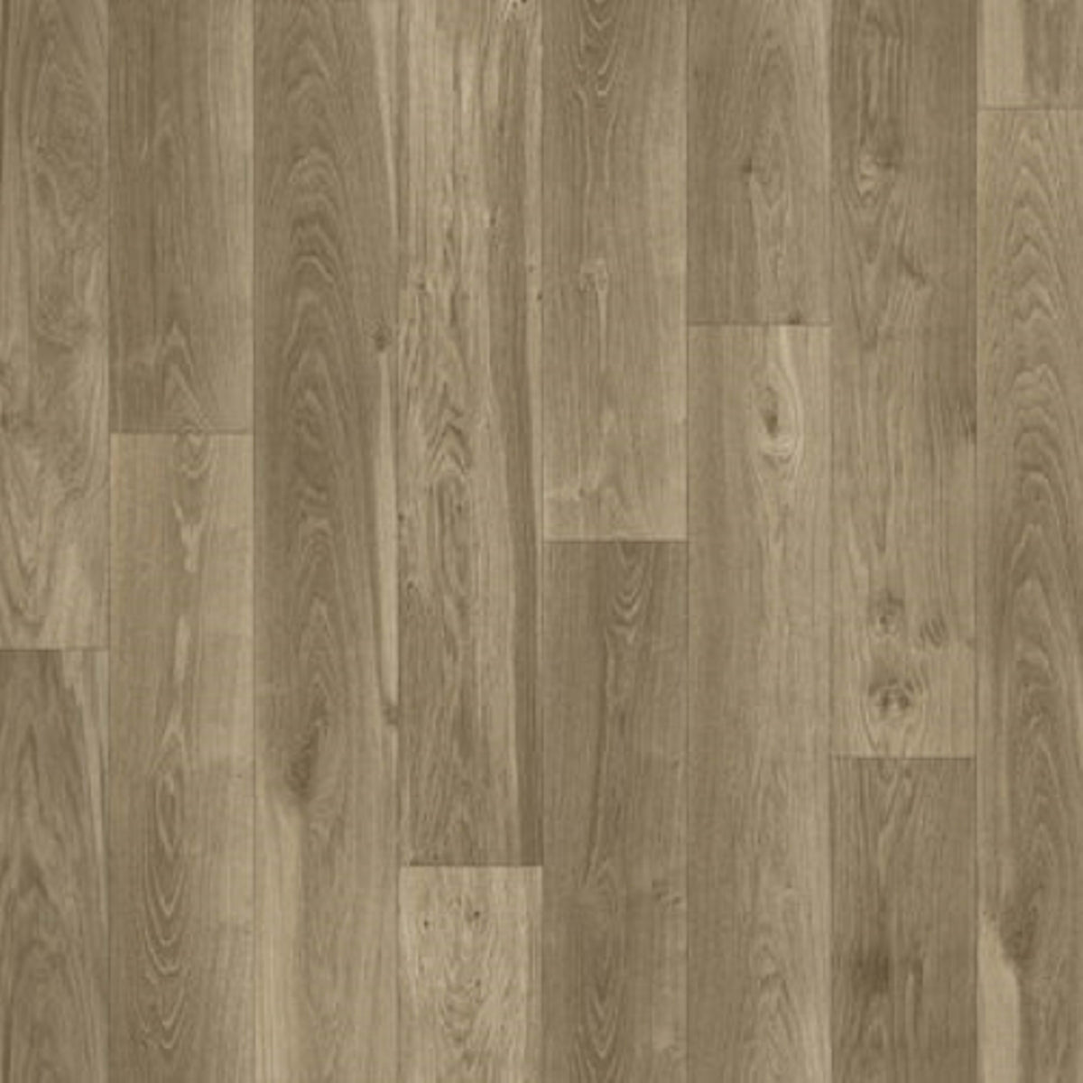 Reflect+ in Regal Oak Mocha Vinyl Sheet Goods