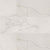 Regallo in Calacatta Isla - 24x48 Polished Tile
