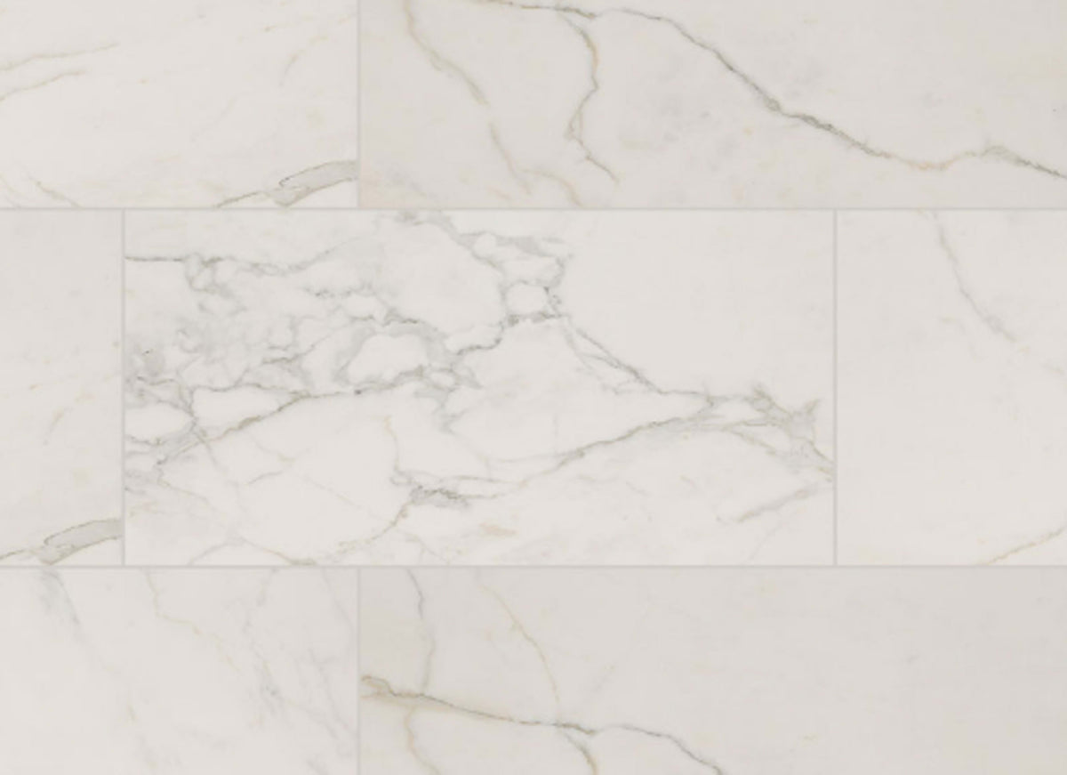 Regallo in Calacatta Isla - 24x48 Polished