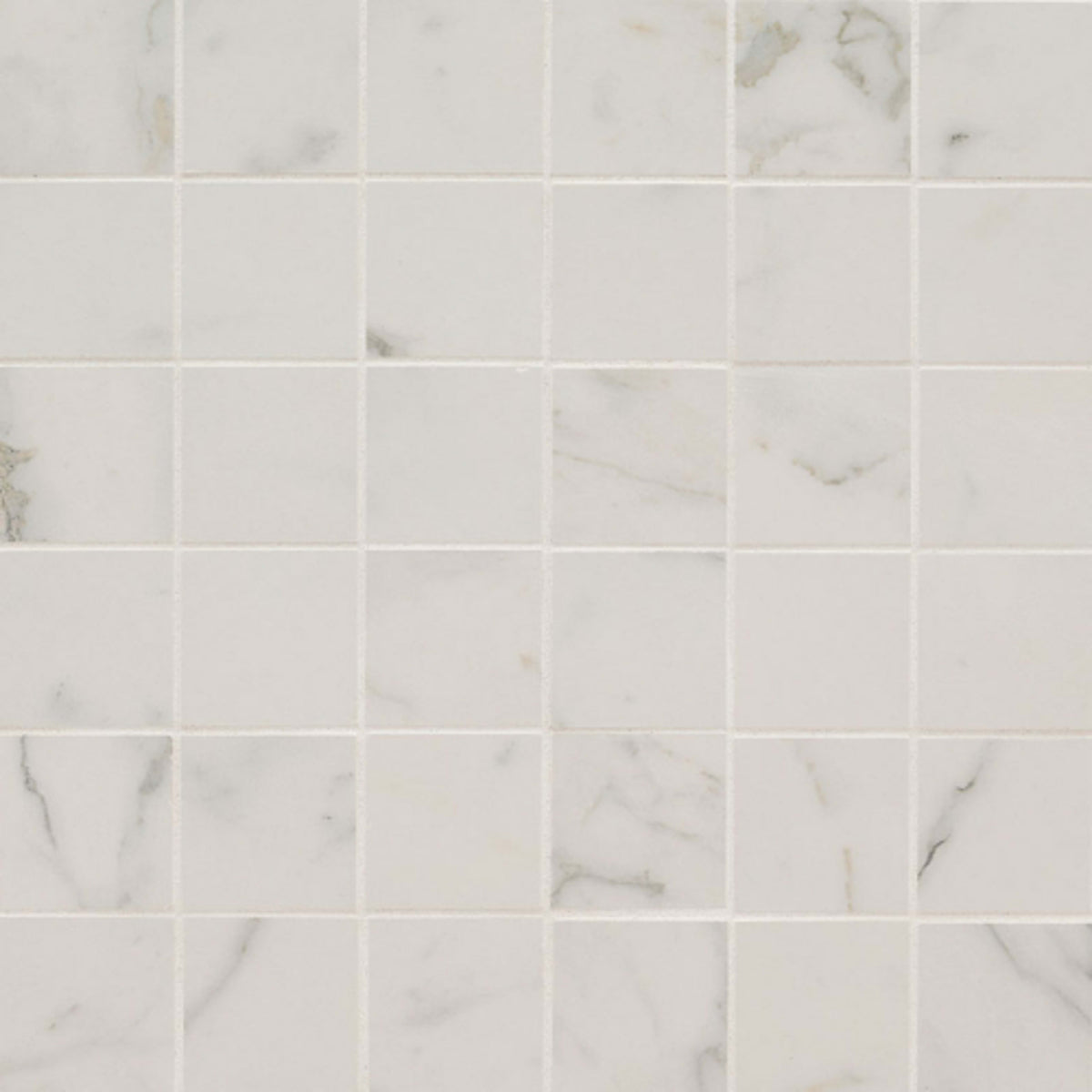 Regallo in Calacatta Isla - 2x2 Tile