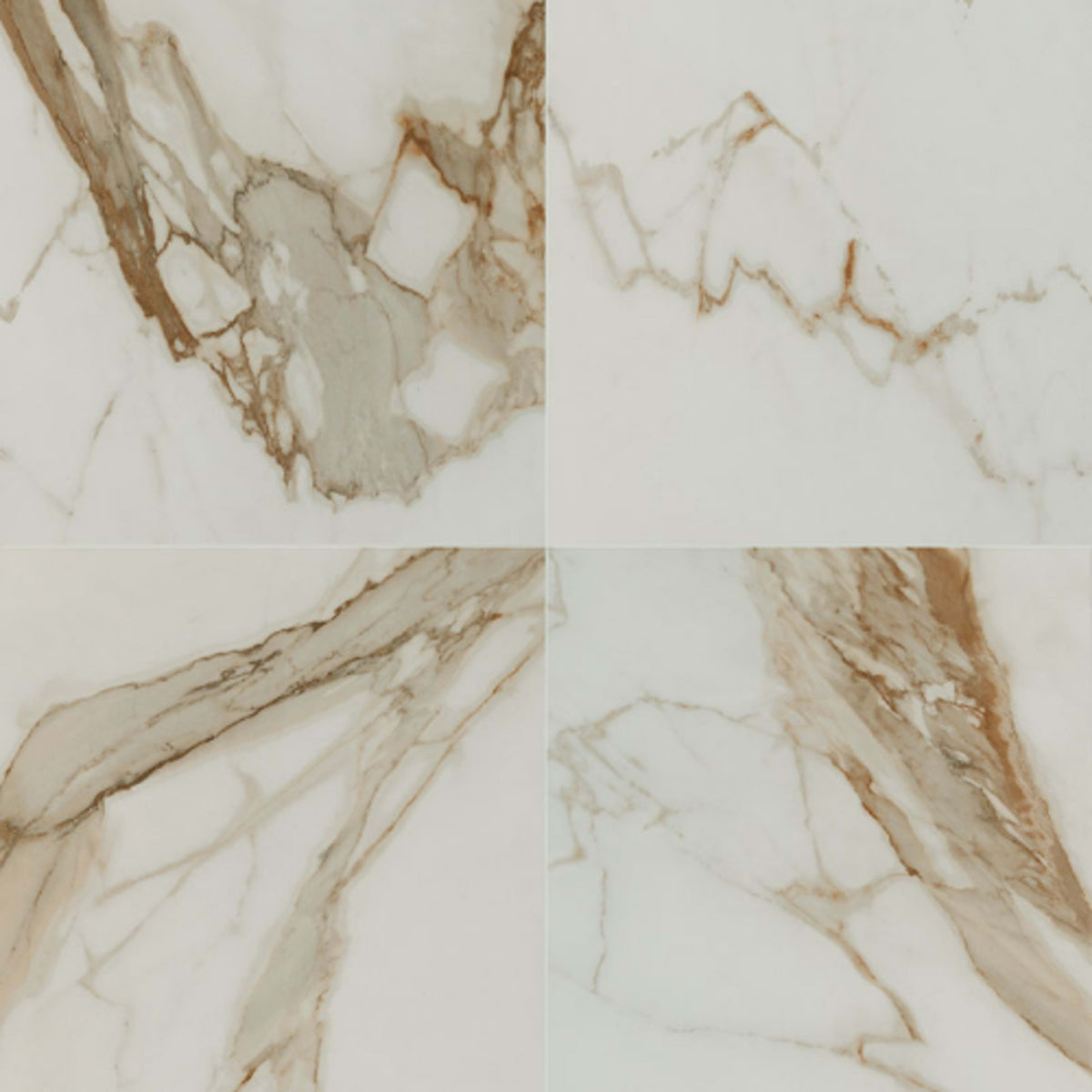 Regallo in Calacatta Marbella - 24x24 Polished Tile
