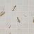 Regallo in Calacatta Marbella - 2x2 Tile