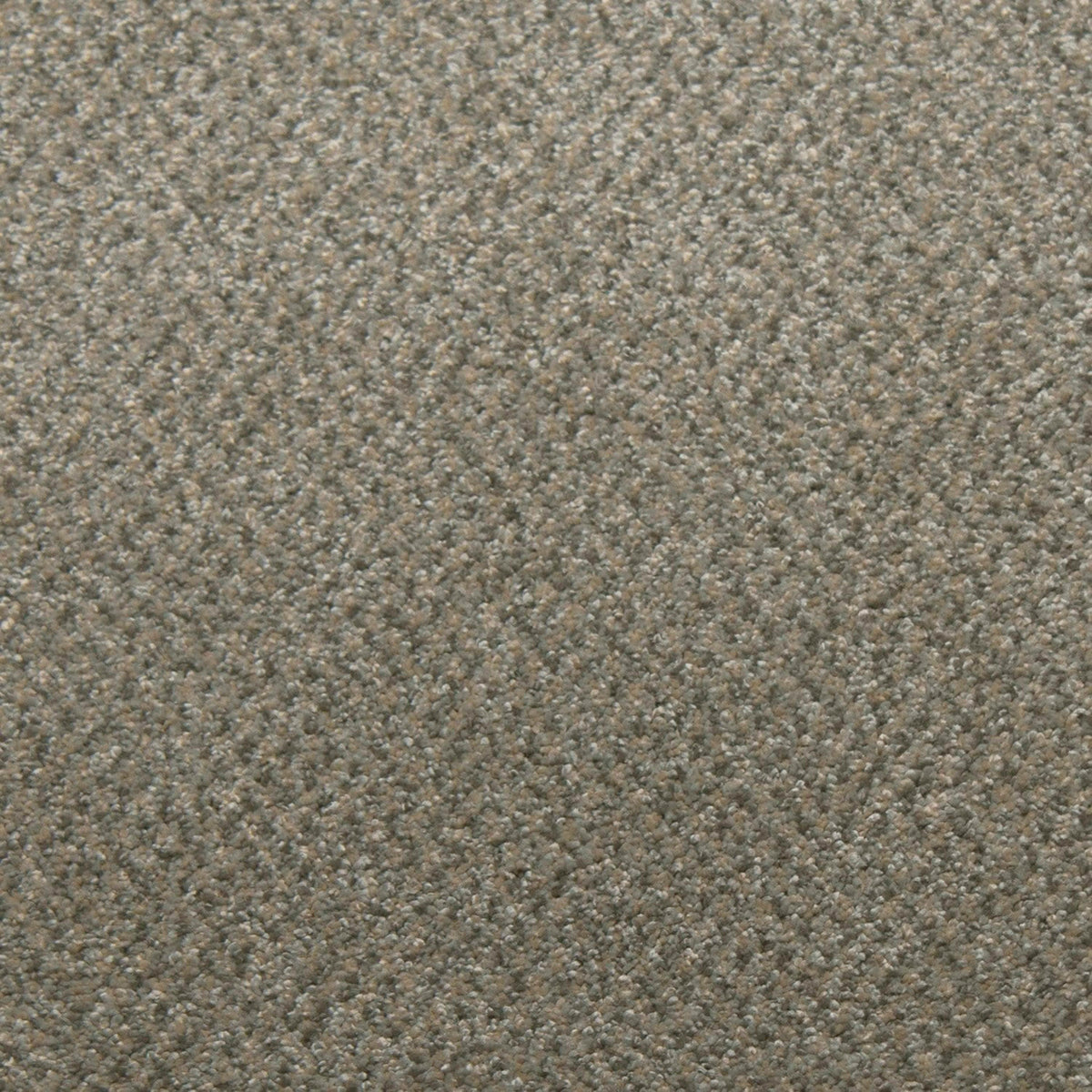 Whisper in Jasper Carpet