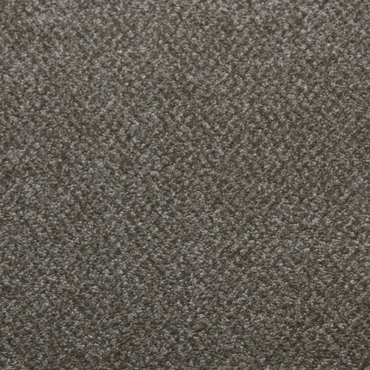 Downy in Bliss Carpet