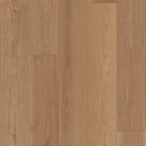 Argonne Forest Hickory