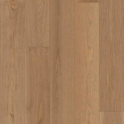 Argonne Forest Hickory