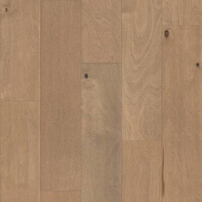 St. Petersburg