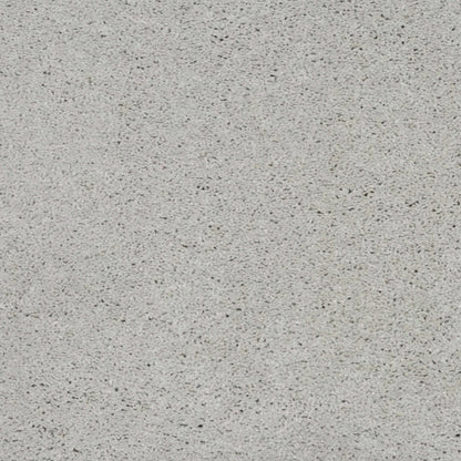Simply Amazing in London Fog Carpet