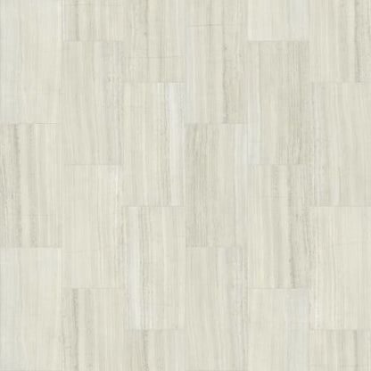 VISION 12X24 POLISH