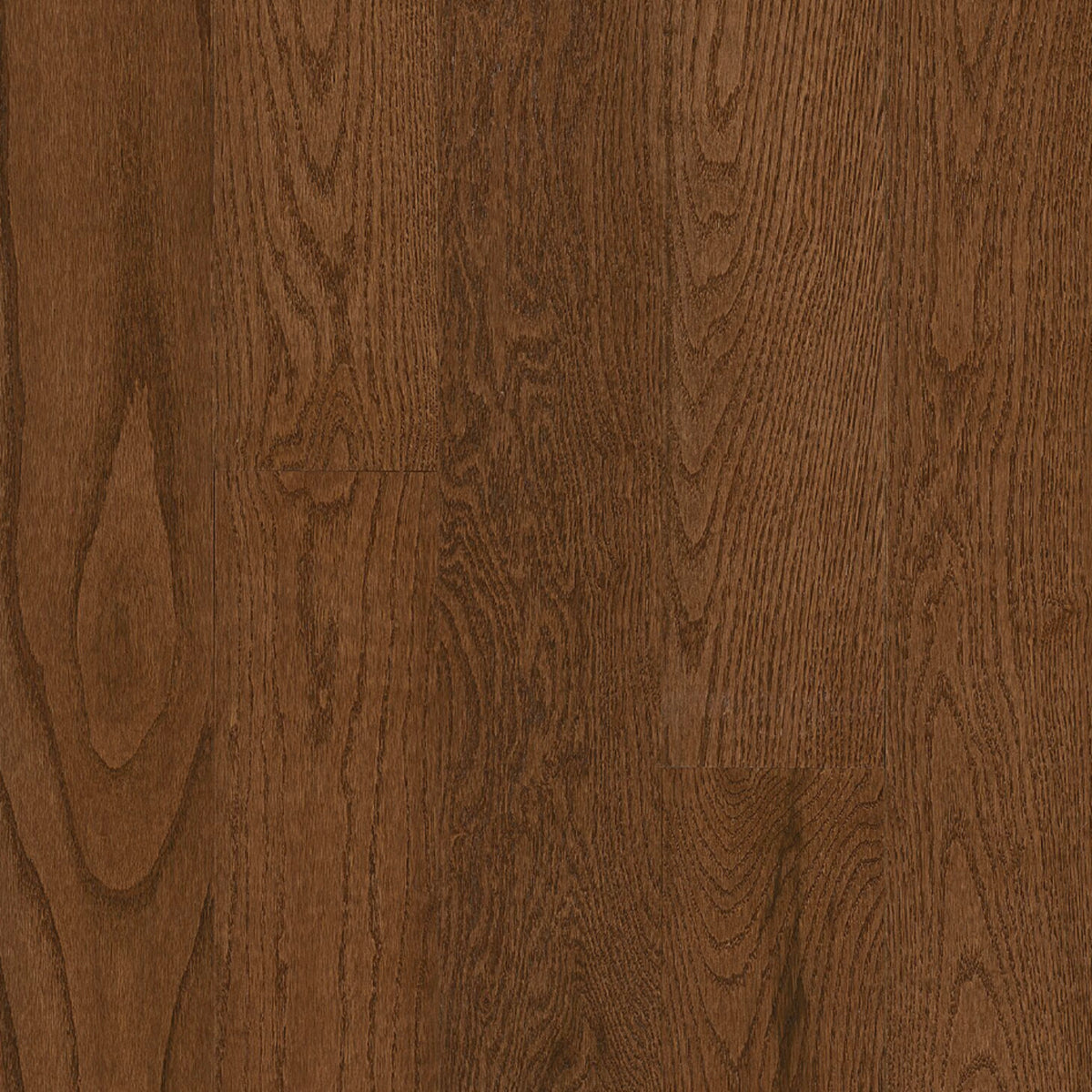Paragon Red Oak Solid in Bending Creek 5" - High Gloss Hardwood