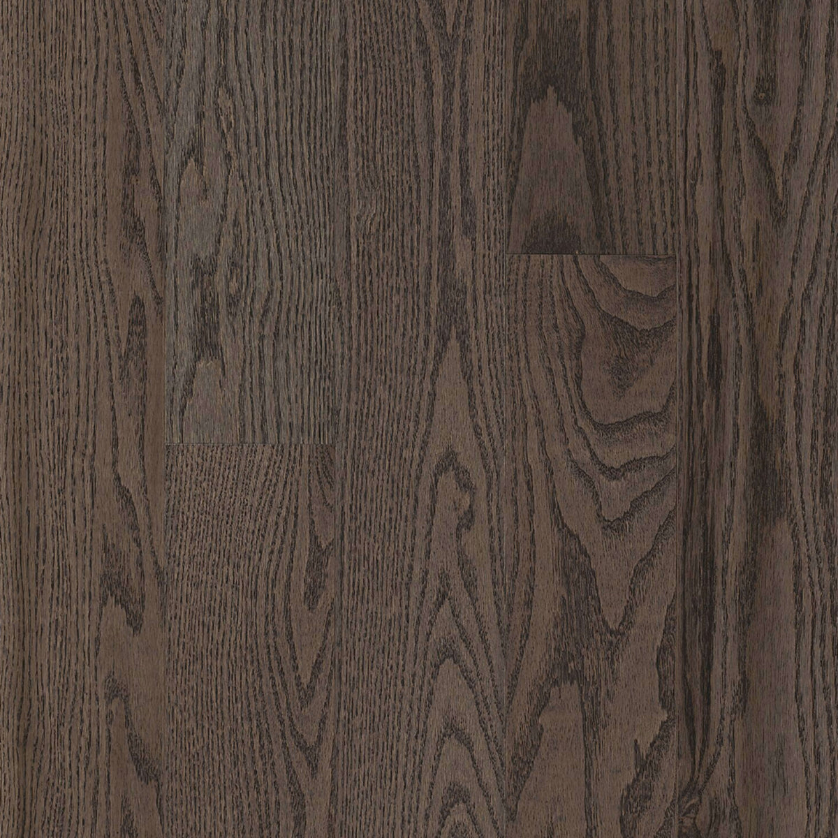 Paragon Red Oak Solid in Premier Drift 5" - High Gloss Hardwood