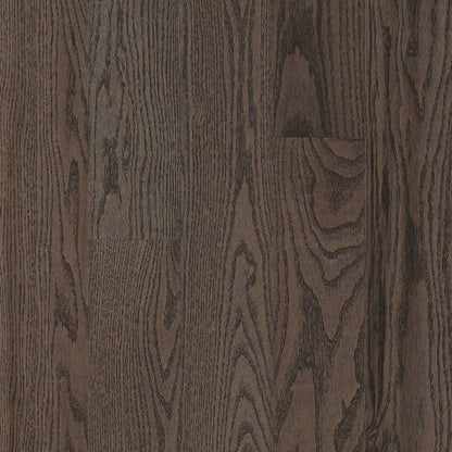 Paragon Red Oak Solid in Premier Drift 5" - High Gloss Hardwood