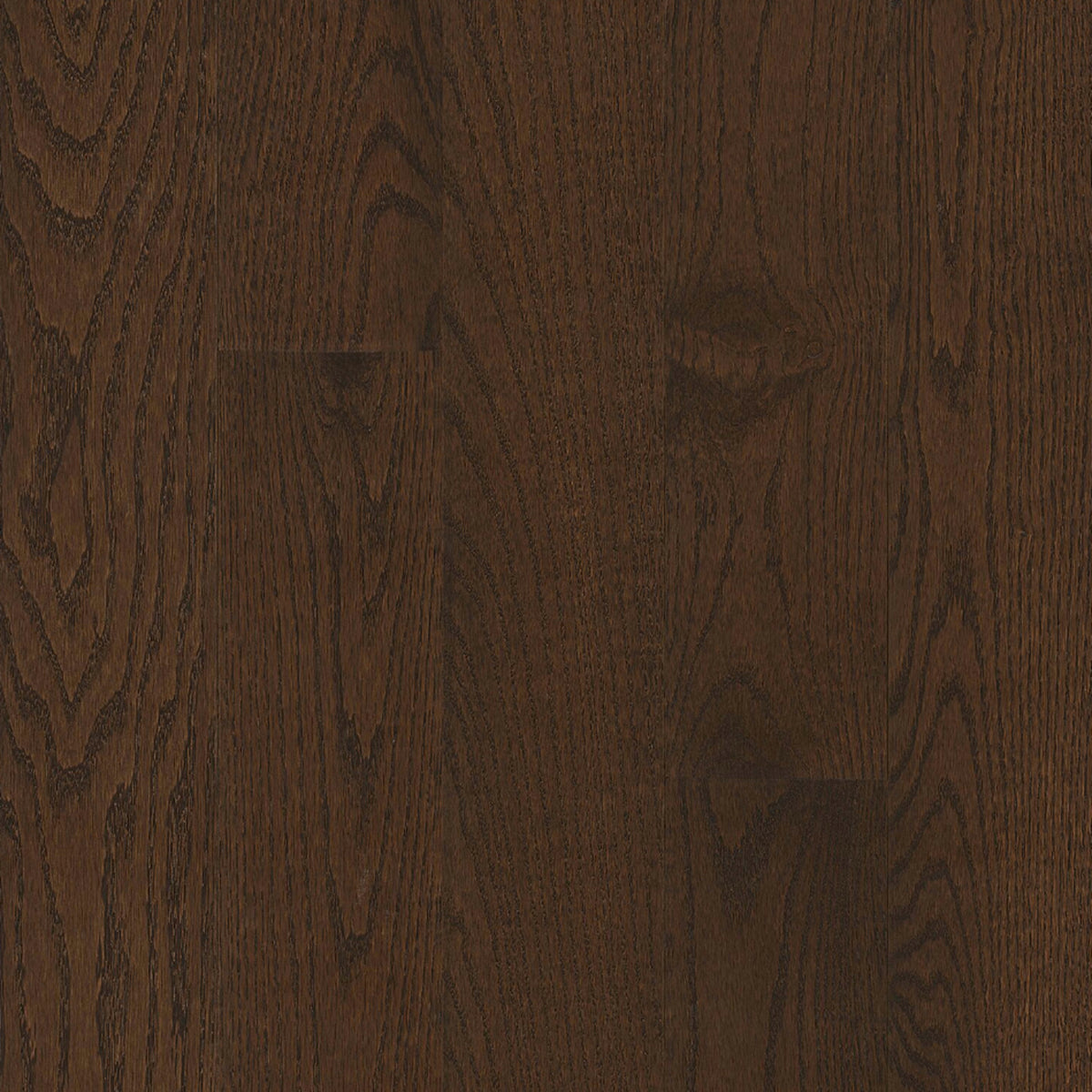 Paragon Red Oak Solid in Countryside Brown 5" - High Gloss Hardwood