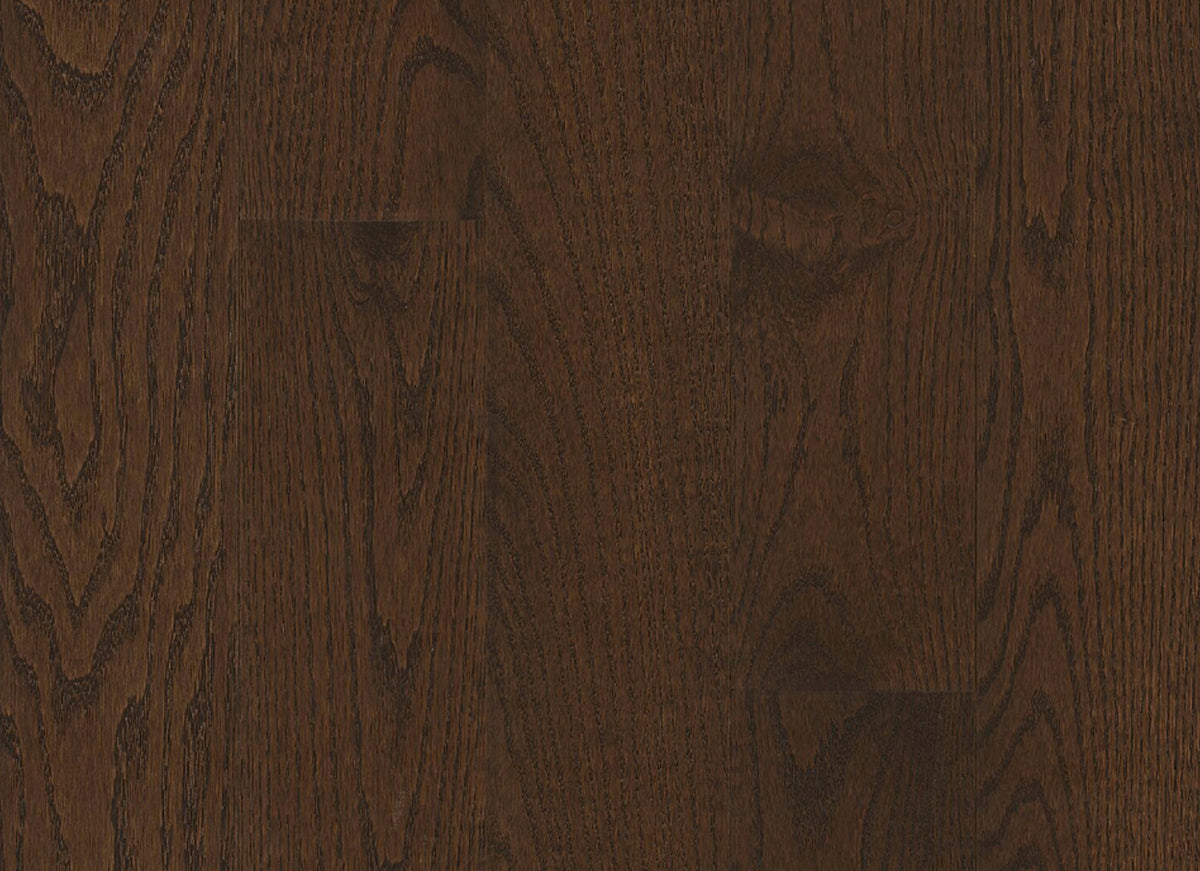 Paragon Red Oak Solid in Countryside Brown 5" - High Gloss