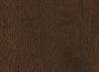 Paragon Red Oak Solid in Countryside Brown 5" - High Gloss