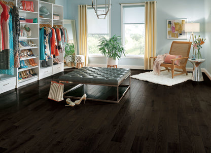 Paragon Red Oak Solid in Premier Drift 5" - High Gloss