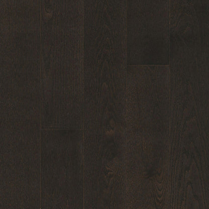 Paragon Red Oak Solid in Classic Ore 5" - High Gloss Hardwood