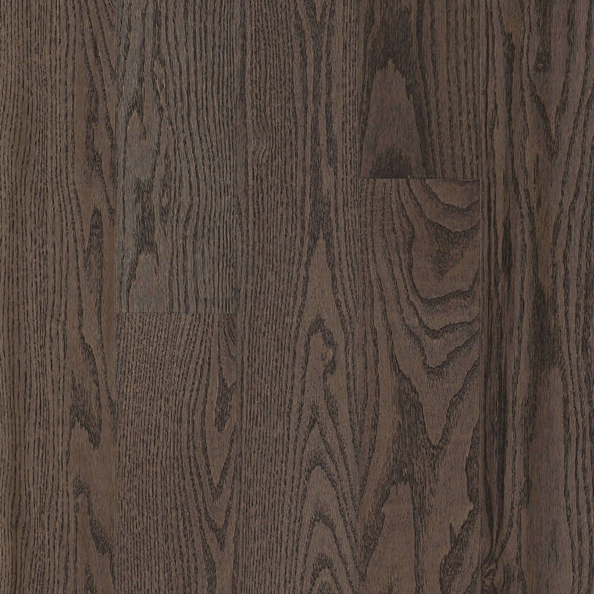 Paragon Red Oak Solid in Premier Drift 5" - Low Gloss Hardwood