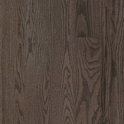 Paragon Red Oak Solid in Premier Drift 5" - Low Gloss Hardwood