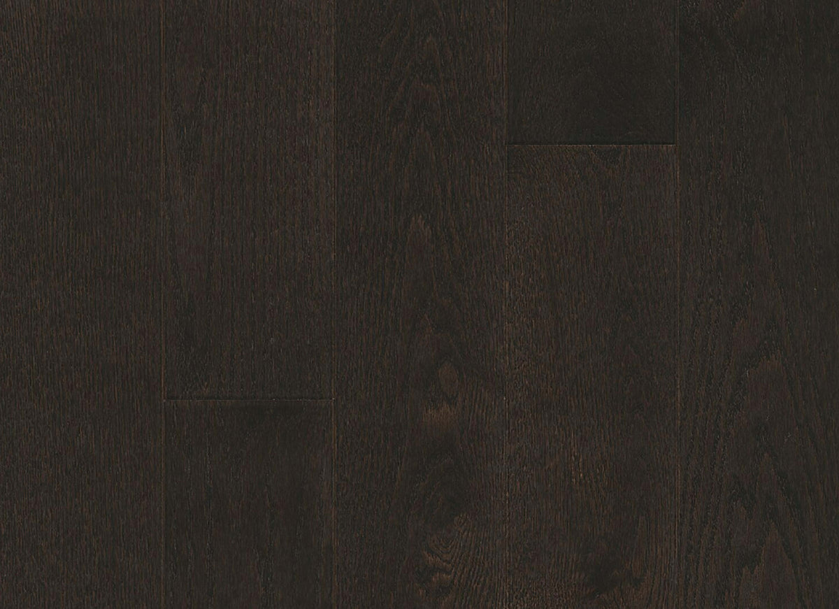 Paragon Red Oak Solid in Classic Ore 5" - Low Gloss