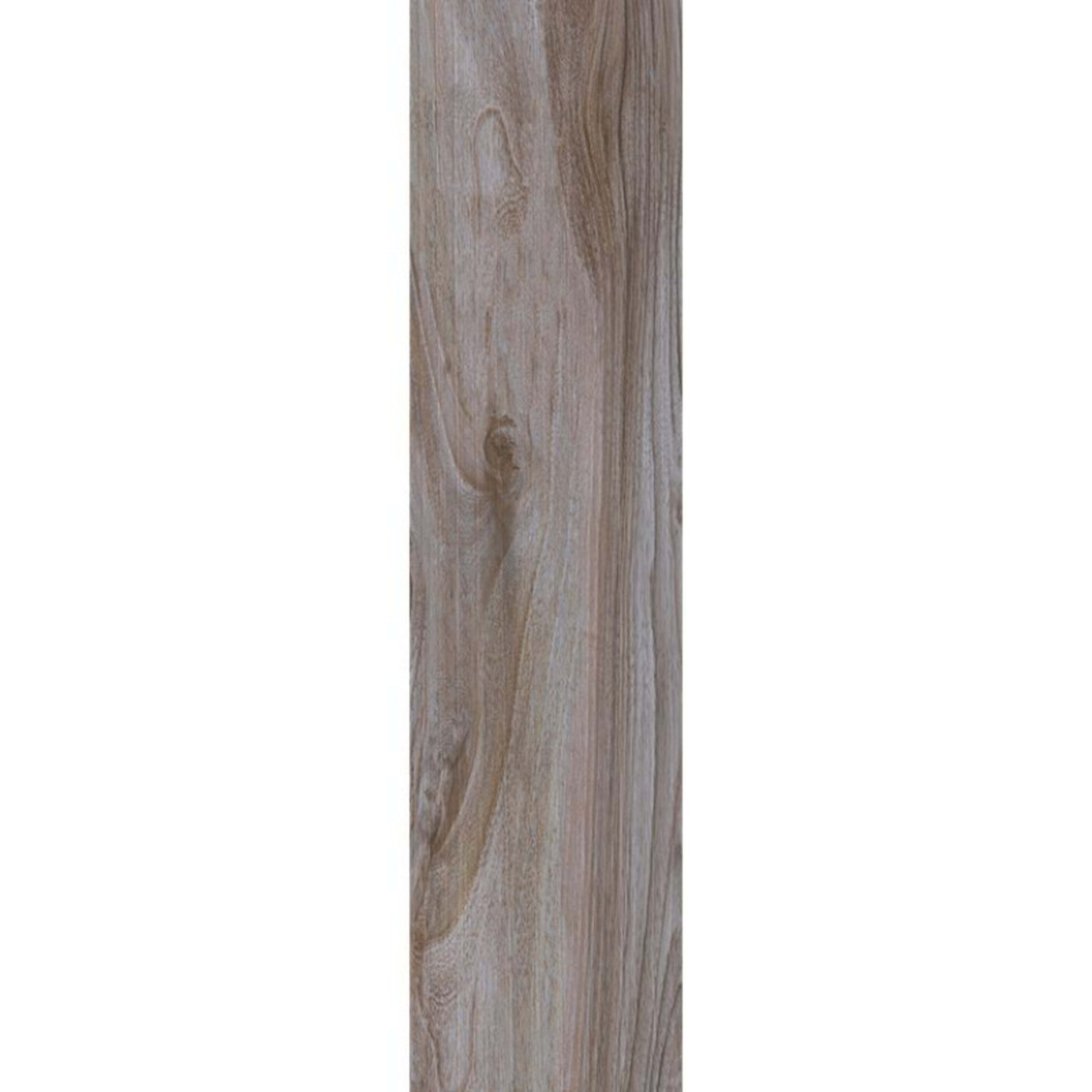 Savannah in Sepia Tile