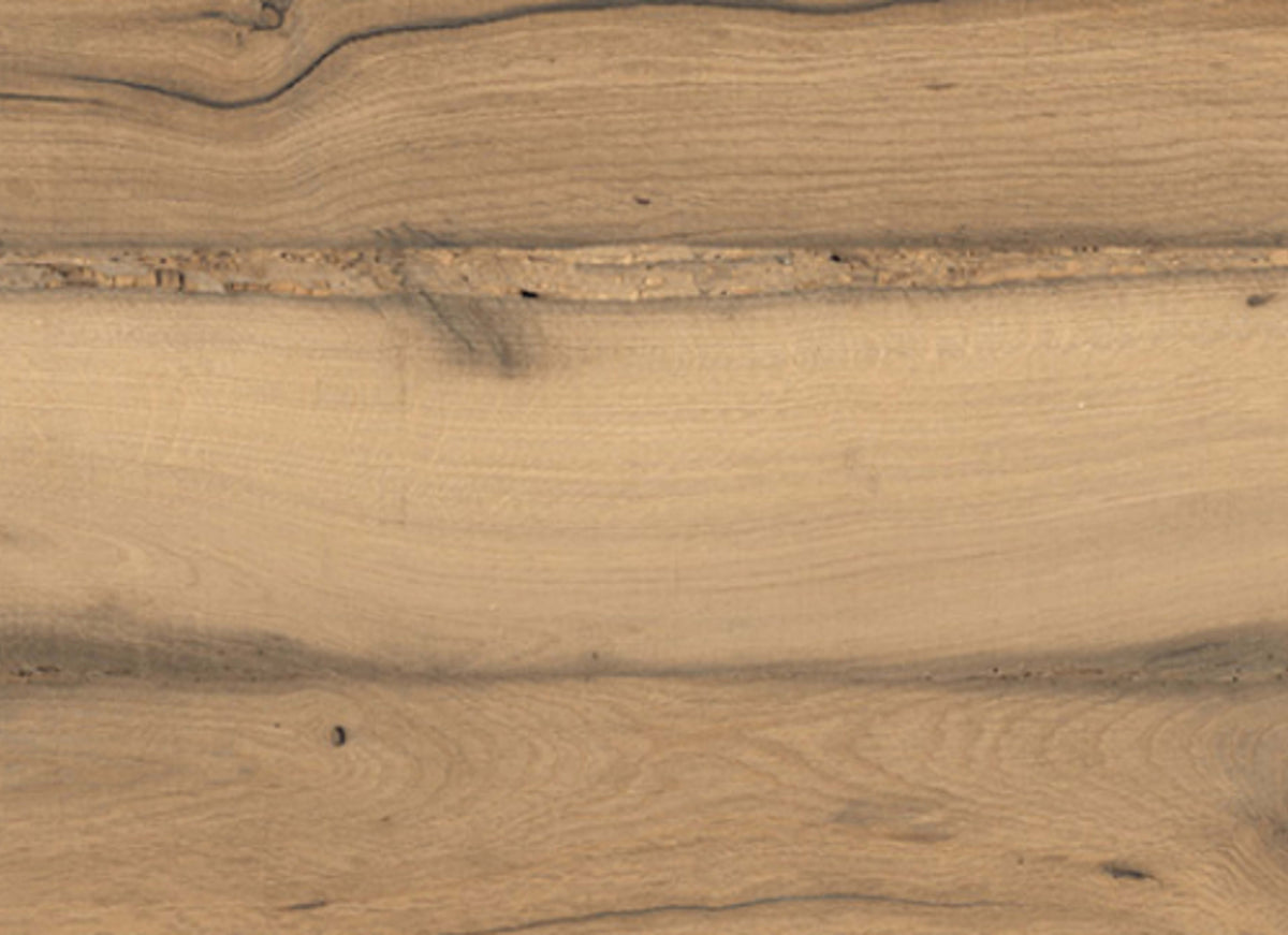 Scarlet in Oak