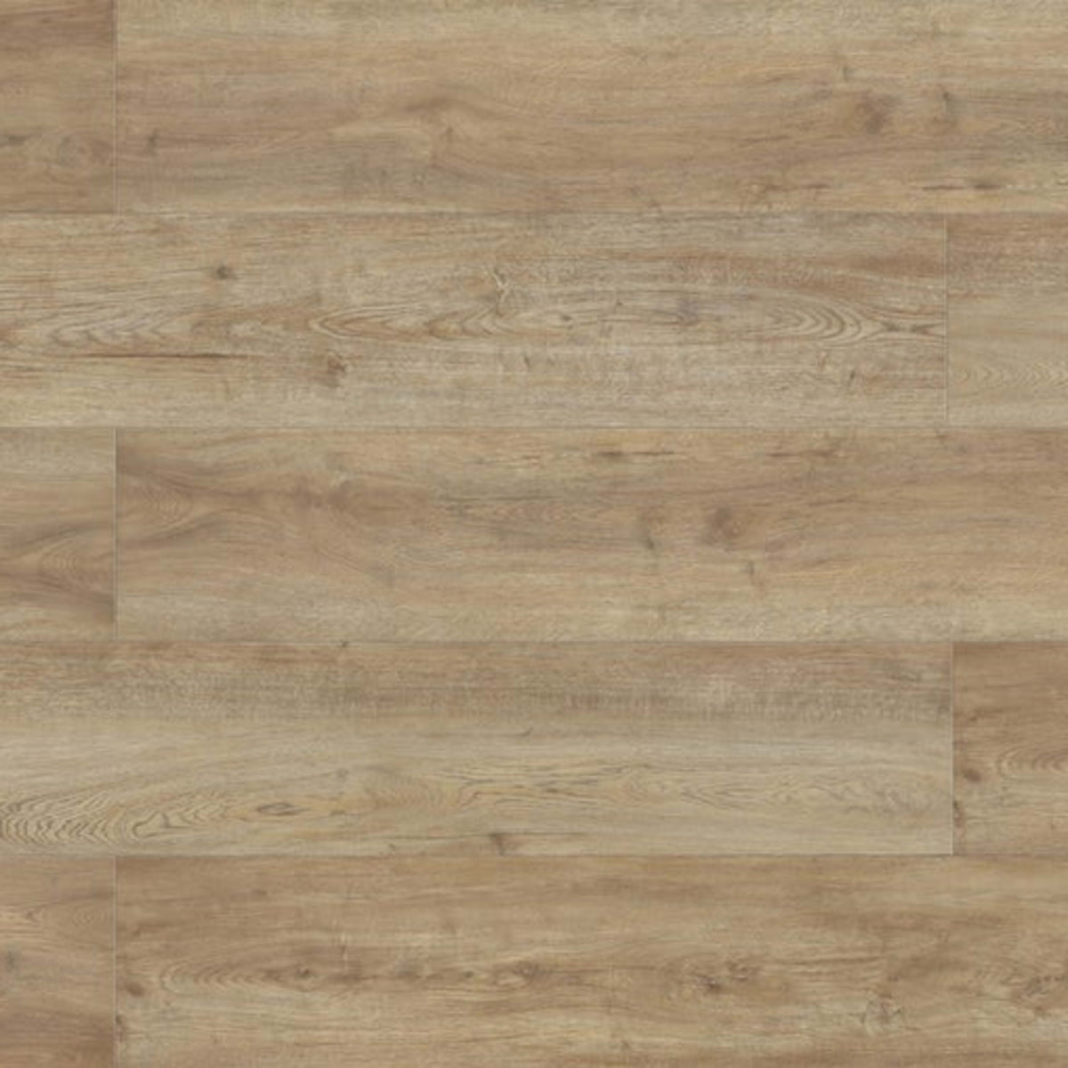 Evolved in Burgess Laminate