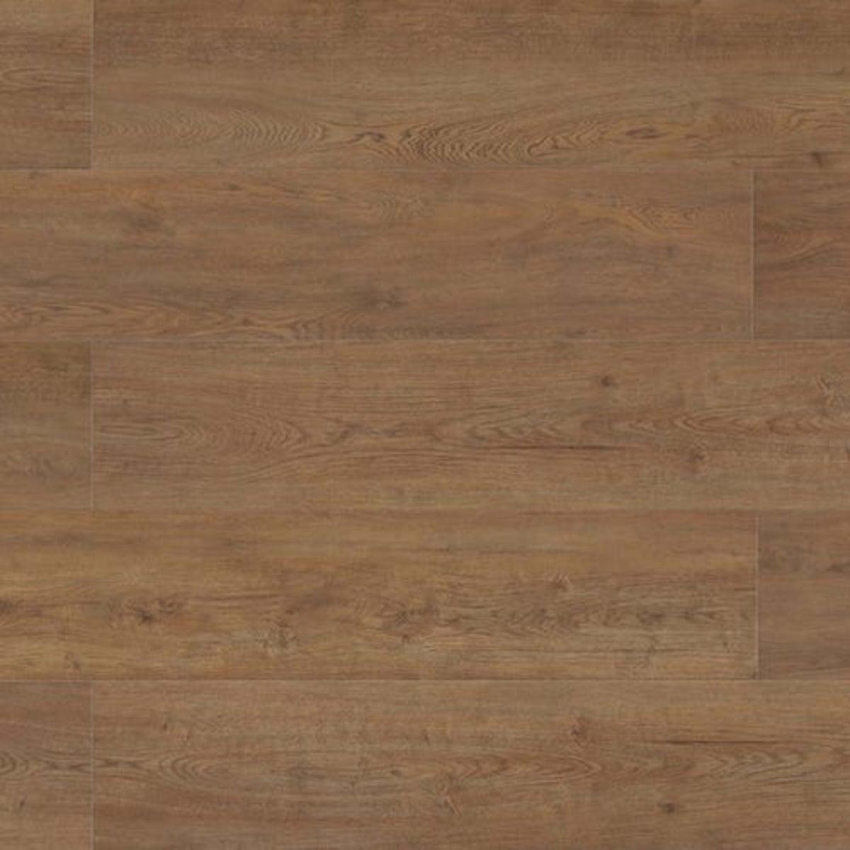 Evolved in Leanett Laminate