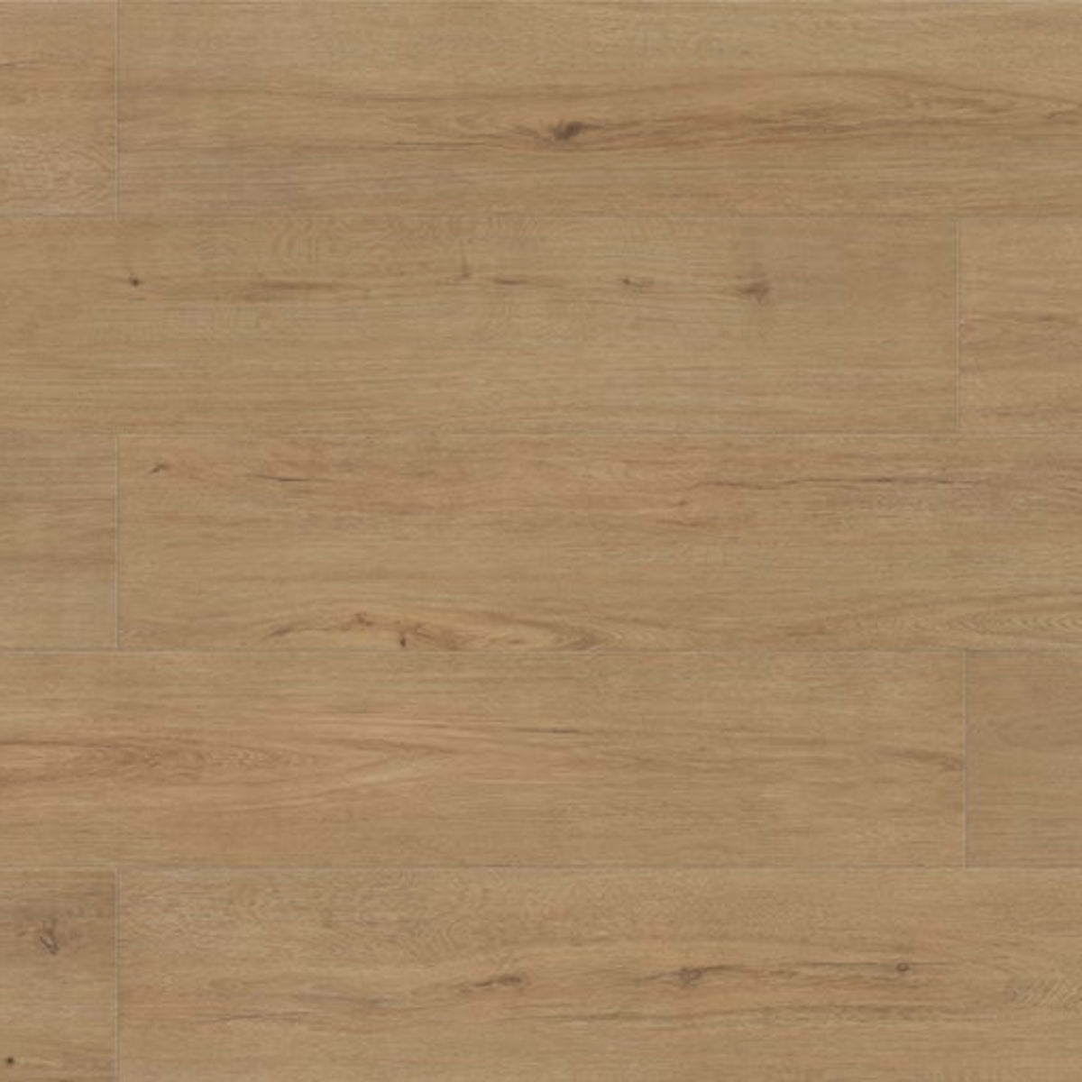 Evolved in Niobe Laminate