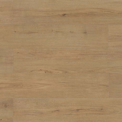 Evolved in Niobe Laminate