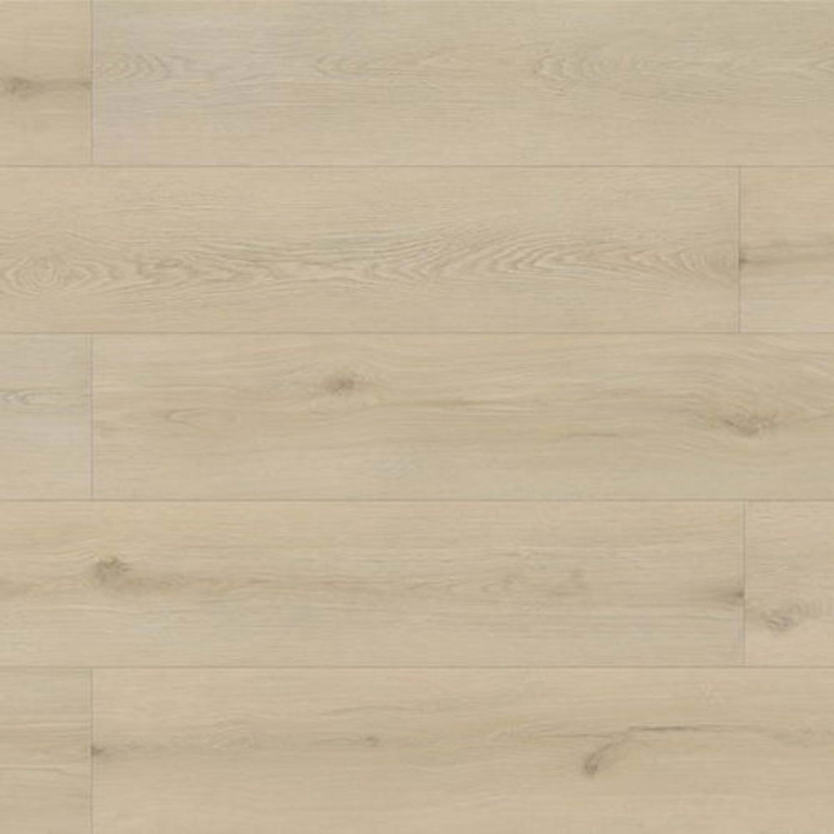 Evolved in Trinity Laminate